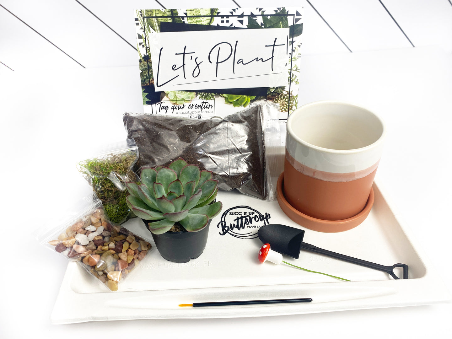 'Create Your Own Sunshine' Gift Box- 1 succulent