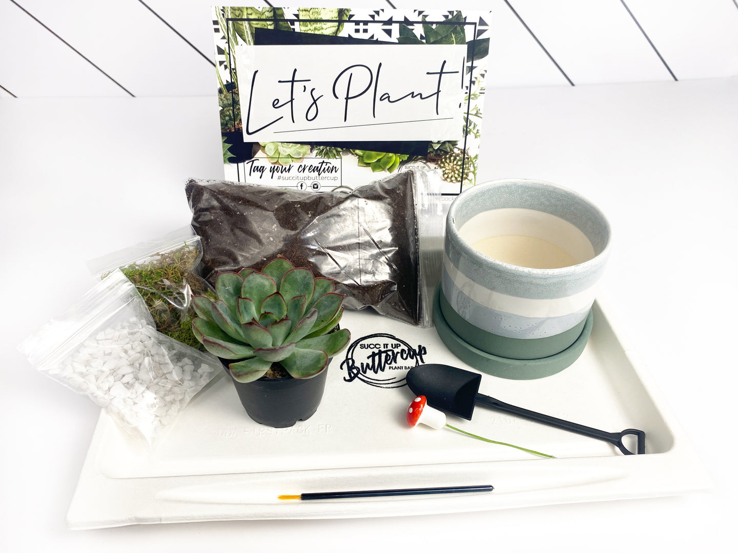 succulent packaging Let's Party Succers' Gift Box- 1 succulent – Succ It Up Buttercup