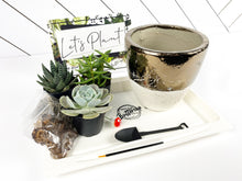 Load image into Gallery viewer, &#39;I&#39;m a Succa For You&#39; Gift Box-3 succulents
