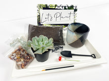 Load image into Gallery viewer, &#39;Let Love Grow&#39; Gift Box- 1 succulent
