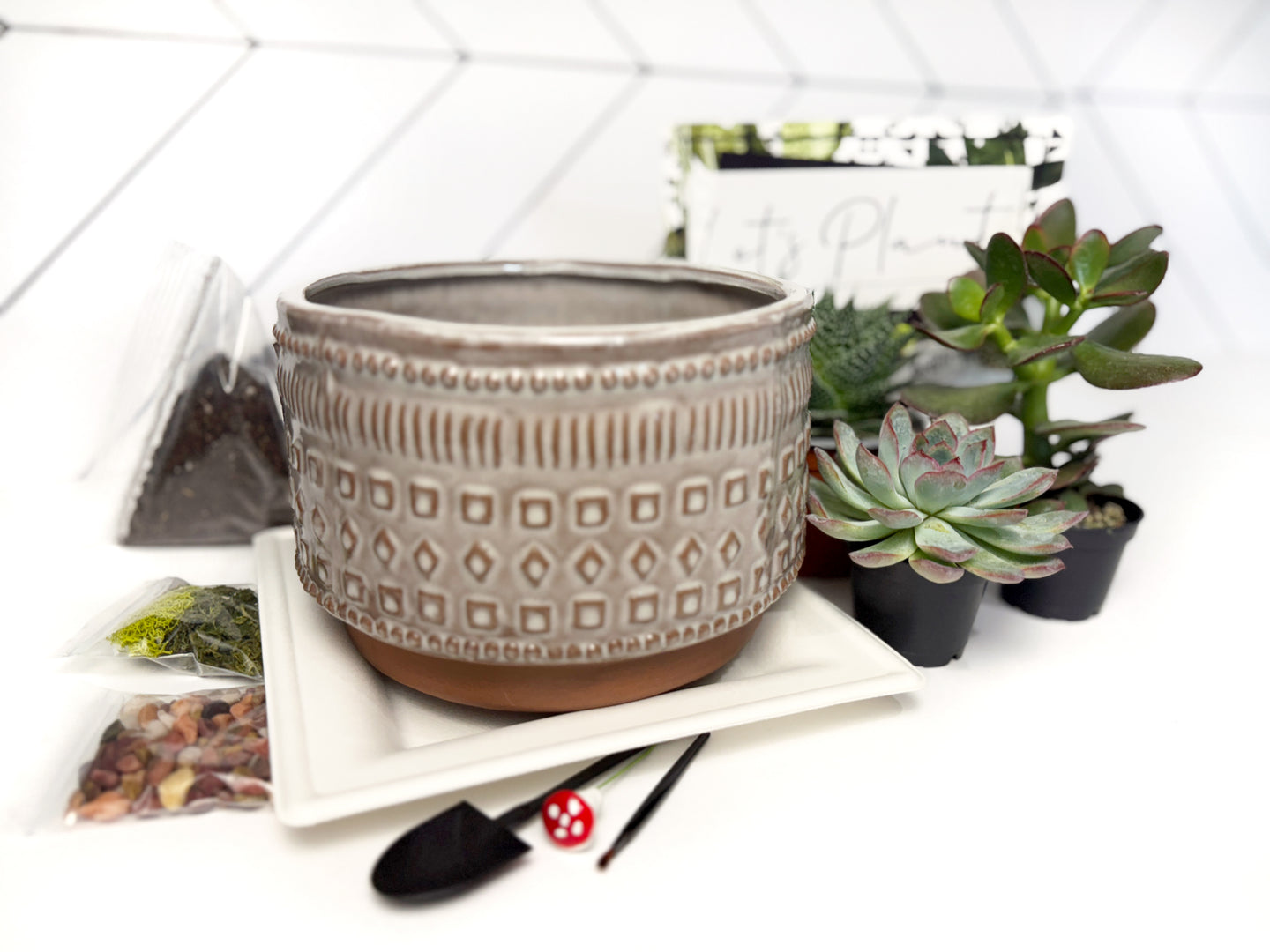 'My Plants Beleaf In Me' Gift Box- 3 succulents