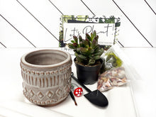 Load image into Gallery viewer, &#39;My Plants Beleaf In Me&#39; Gift Box- 1 succulent
