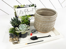 Load image into Gallery viewer, &#39;My Plants Beleaf In Me&#39; Gift Box- 3 succulents
