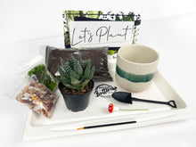 Load image into Gallery viewer, &#39;So Fresh and So Green&#39; Gift Box- 1 succulent
