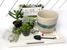 Load image into Gallery viewer, &#39;So Fresh and So Green&#39; Gift Box- 3 succulents
