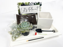 Load image into Gallery viewer, &#39;You Grow Girl&#39; Gift Box- 1 succulent
