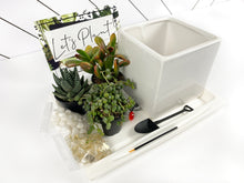 Load image into Gallery viewer, &#39;You Grow Girl&#39; Gift Box- 3 succulents
