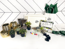 Load image into Gallery viewer, Succulent Party Package-Gold Containers (starts at 5 guests)
