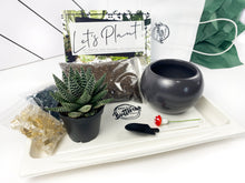 Load image into Gallery viewer, Succulent Party Package-Black, White &amp; Gray Containers (starts at 5 guests)
